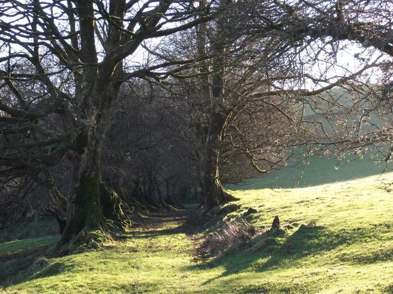 Swallow Barn Llanwrtyd Wells Phòng bức ảnh